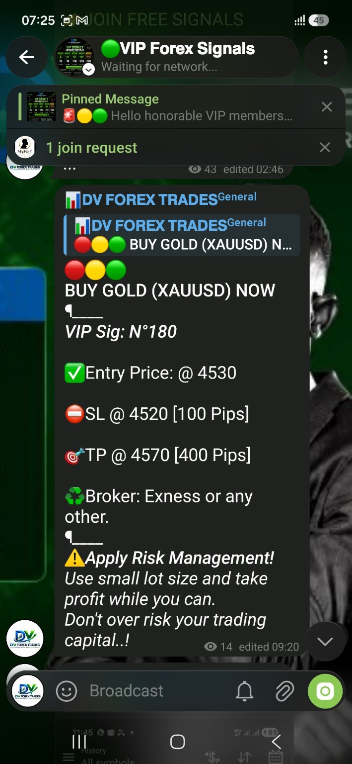 DV FOREX TRADES VIP Signals platform